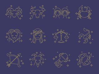 Wall Mural - zodiac sign with golden lines vector illustration 金色のラインのおしゃれな12星座セット