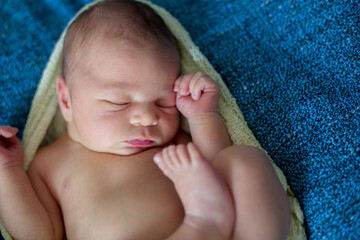 Canvas Print - Newborn baby boy, sleeping happily