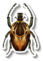 Poster - A sticker template with a beetle isolated