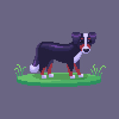 Wall Mural - Pixel art dog. Farm animal for game design.