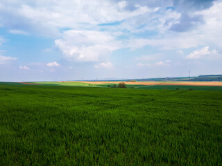 Landscape of a field covered in greenery under a blue cloudy sky in the countryside in Germany