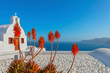 Wall Mural - Stunning cupolas with the Caldera (volcano) in the distance in the Greek island of Santorini