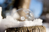 Fototapeta Łazienka - Magische Eisseifenblasen (Magic Frozen Soap Bubbles)