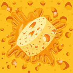 Wall Mural - round cheese splash