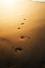 High Angle View Of Footprints On Sand At Beach