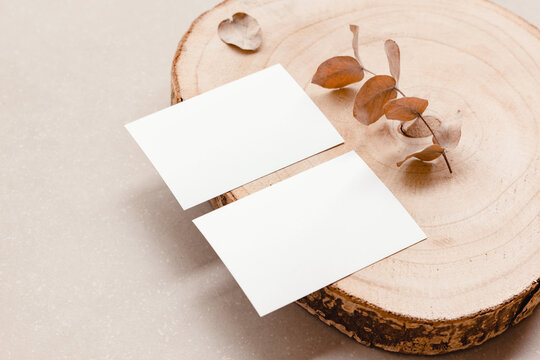 two blank business cards mock up for design template on a trunk. white visit card mockup front and b