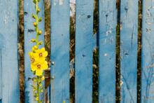 Full Frame Shot Of Weathered Wooden Fence