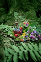 magic bottle, berries and flowers. Witchcraft concept. wiccan witch altar for Summer solstice, Litha pagan holiday. 