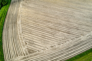 Wall Mural - nice field - landscape