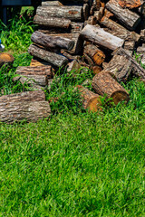 Wall Mural - Pile of firewood on a green lawn at backyard