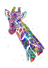 Wall Mural - Giraffe Animal watercolor, abstract painting. Watercolor illustration rainbow, colorful, decoration wall art.