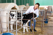 © JackF - Professional hispanic woman worker in white robe taking care of calves at farm