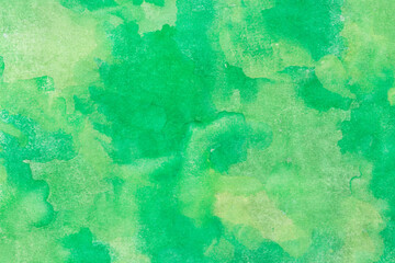 Wall Mural - green painted background texture