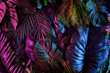 Leinwandbild Motiv Tropical dark trend jungle in neon illuminated lighting. Exotic palms and plants in retro style.