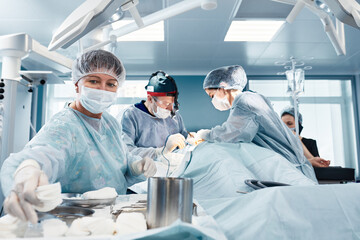 Wall Mural - A real operation, a woman surgeon gives instruments, during a plastic operation, against the background of a team of surgeons in a modern operating unit, saving lives.