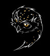 Vector Owl Head with white and orange spots sketch line art illustration isolated on black. Surprised owl with wide open eyes
