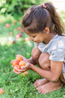 Girl is holding ripe apricots under the apricot tree.