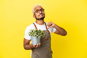 Wall Mural - Young Colombian man holding a plant isolated on yellow background proud and self-satisfied