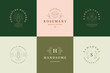© provectors - Botanical logos emblems design templates set with blossom flowers and rose vector illustrations minimal line art style