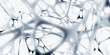 White and black, monochrome. Brain and Mind. Artificial intelligence framework developed by a neural network. 3D illustration of nerve tissue and connections between neurons