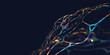 © Siarhei - Neural network, artificial intelligence and digital cyber abstraction. 3D illustration of electrical impulses in tissue of neural connections. Creative innovation in business start-up