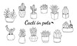© Ina - Set of hand drawn cacti and succulents. Collection of plants in pots. Spiny desert plants, cactus flowers and tropical plants. Hand-drawn illustration in a sketch style.