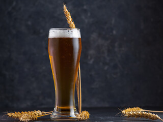 Wall Mural - Tall glass of light or wheat beer on a black background