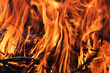Leinwandbild Motiv Bright background of burning orange flames, close-up