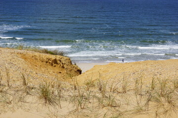 dunes,dune grass and beach on the North Sea