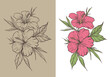 hibiscus flower rustic sketch