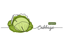 Cabbage Head, Cole Simple Vector Illustration For Background. One Line Drawing Art Illustration With Lettering Organic Cabbage