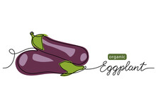Eggplant, Aubergine, Brinjal Simple Vector Illustration, Background. One Line Drawing Art Illustration With Lettering Organic Eggplant