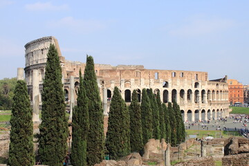 Wall Mural - Colosseum in Rome, Italy