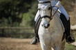 © ADDICTIVE STOCK - Anonymous female equestrian riding horse in paddock