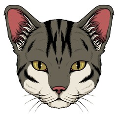 Wall Mural - Cat head vector illustration