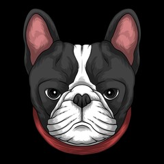 Wall Mural - French bulldog head a wearing red collar vector illustration