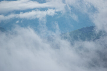 Wall Mural - fog on a mountain range in the carpathian mountains