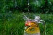© tanitost - Defocus jet splash spray water bubbles in glass jug of lemonade with lemon, strawberry and mint on natural green background with water drops. Pitcher of summer cocktail. Copy space. Out of focus