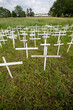 © IntoIt - A small Inpromptu memorial of white wooden crosses to Grieve the Loss of Hundreds of Indigenous Children previously living in Residential Schools across Canada.