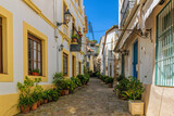 Fototapeta Desenie - Narrow cobblestone wavy streets with potted tropical plants in the labyrinths of medieval Old Town of Tossa de Mar in Catalonia, Spain. Famous tourist destination in South Europe