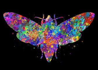 Wall Mural - Moth Animal watercolor art with black background, abstract painting. Watercolor illustration rainbow, colorful, decoration wall art.