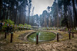 The sacred pond of Lamahatta, Darjeeling, India