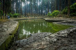 Sacred pond of Lamahatta, darjeeling, India
