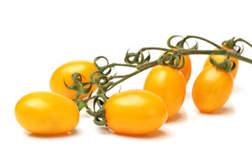 tomatoes on a white background