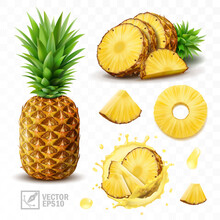 3d Realistic Isolated Vector Set Of Pineapple With Juice Splash, Whole Pineapple With Leaves And Splash With Drops, Falling Pineapple Slices In Pineapple Juice And Pineapple Slices With A Half