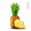 3d realistic isolated vector pineapple set, whole pineapple with leaves, pineapple slices and pieces