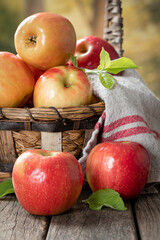 Wall Mural - Closeup of Tasty Red Apples