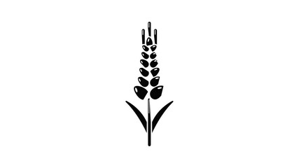 Wall Mural - Wheaty wheat icon animation simple best object on white