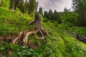 Canvas Print - Mountain hike on the Blasenka and Seewaldsee in Vorarlberg Austria