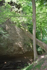 Wall Mural - Wolfsschlucht in der Eifel